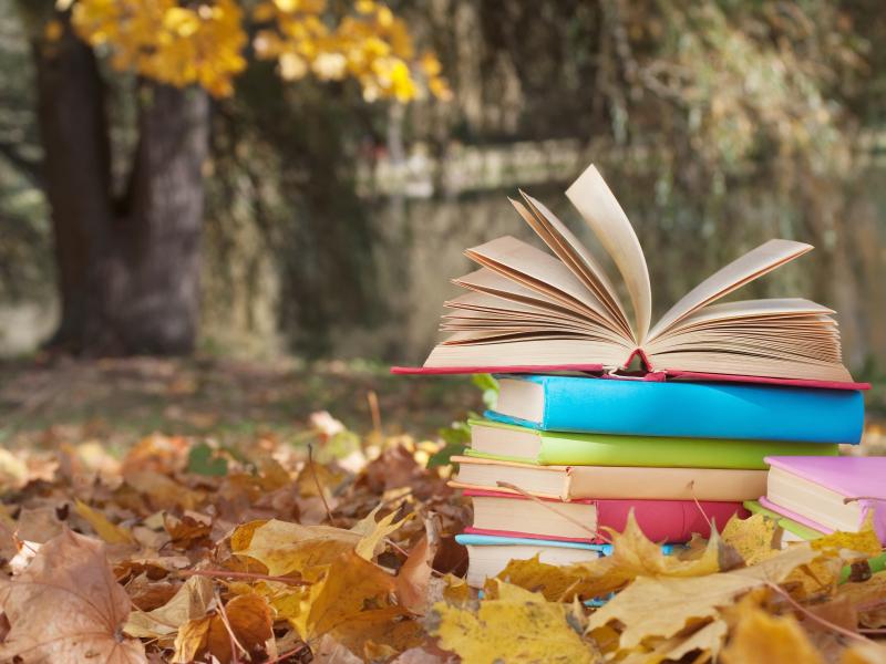 Efterårslitteratur